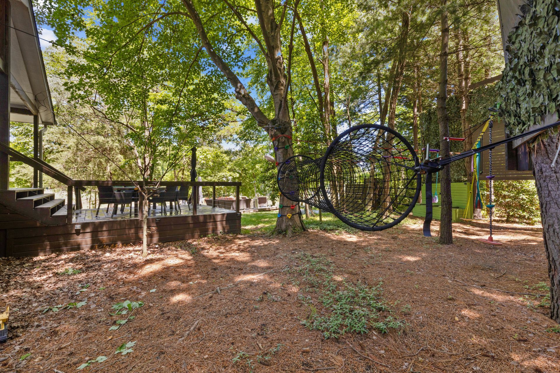 Wooded walking trail surrounded by mature trees