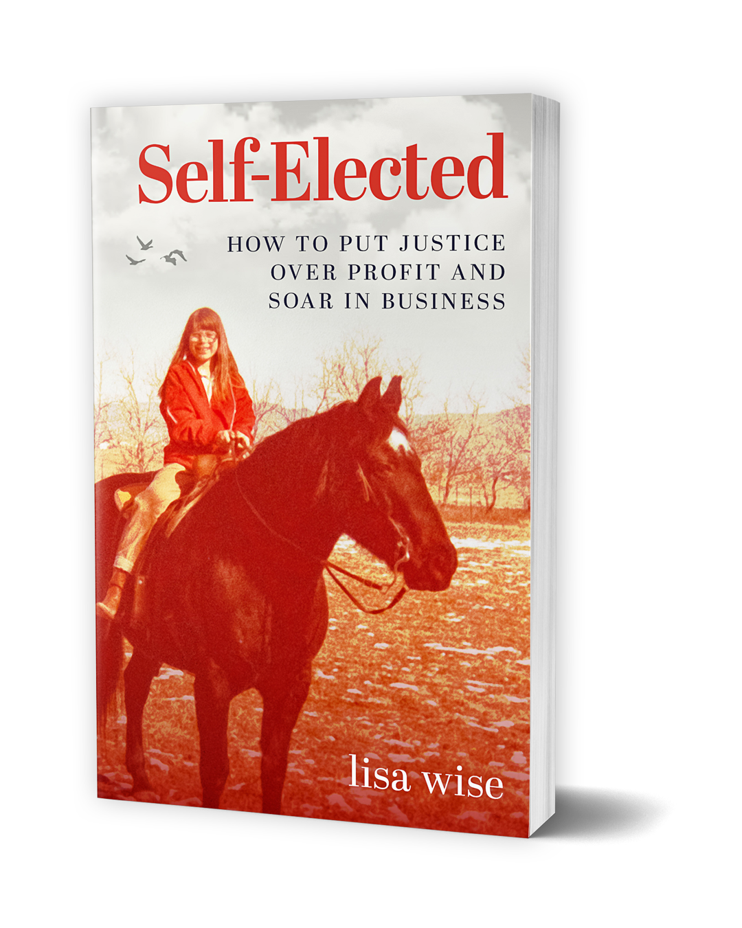 Self-Elected book cover