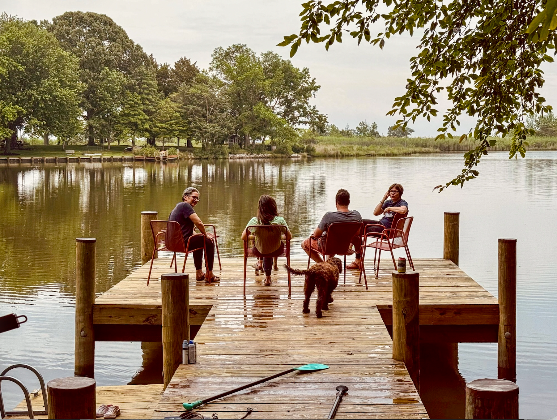 Outdoor community gathering under trees with picnic tables