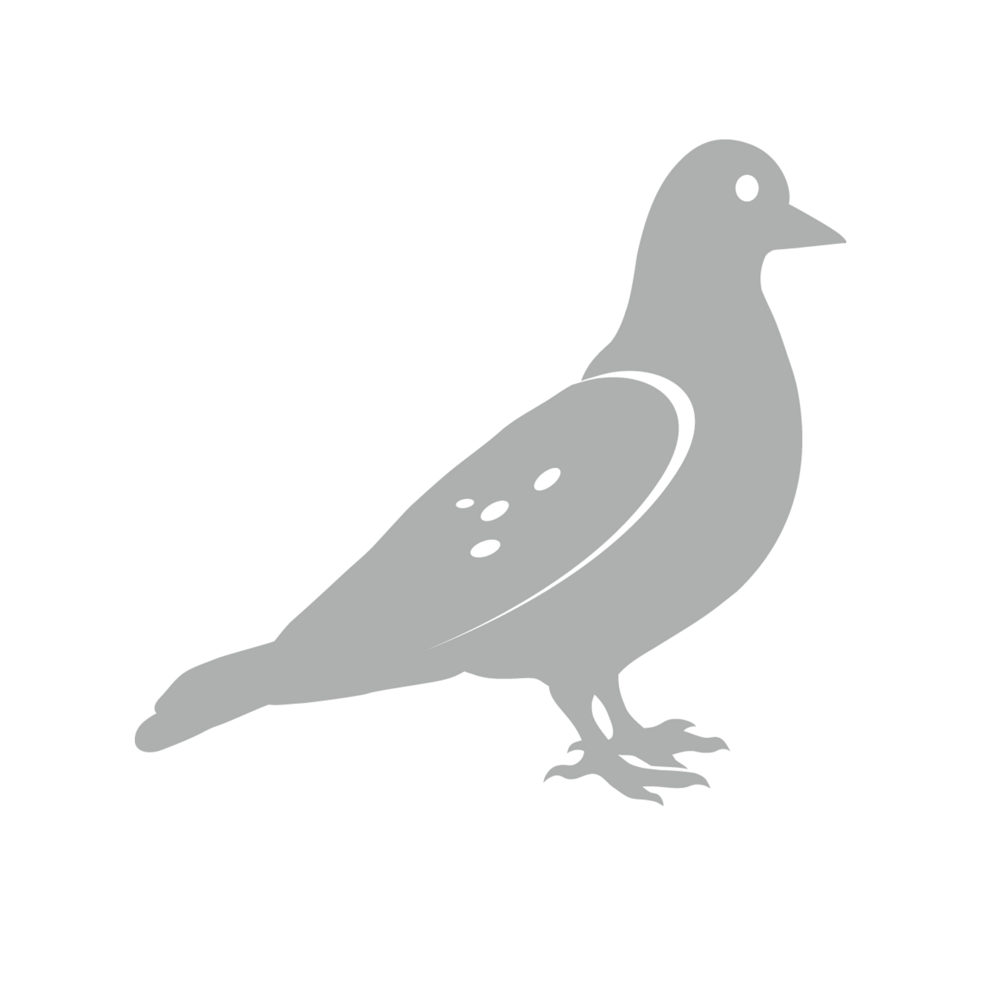 birdSEED