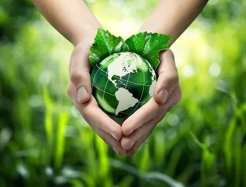 Rispetto ambiente
