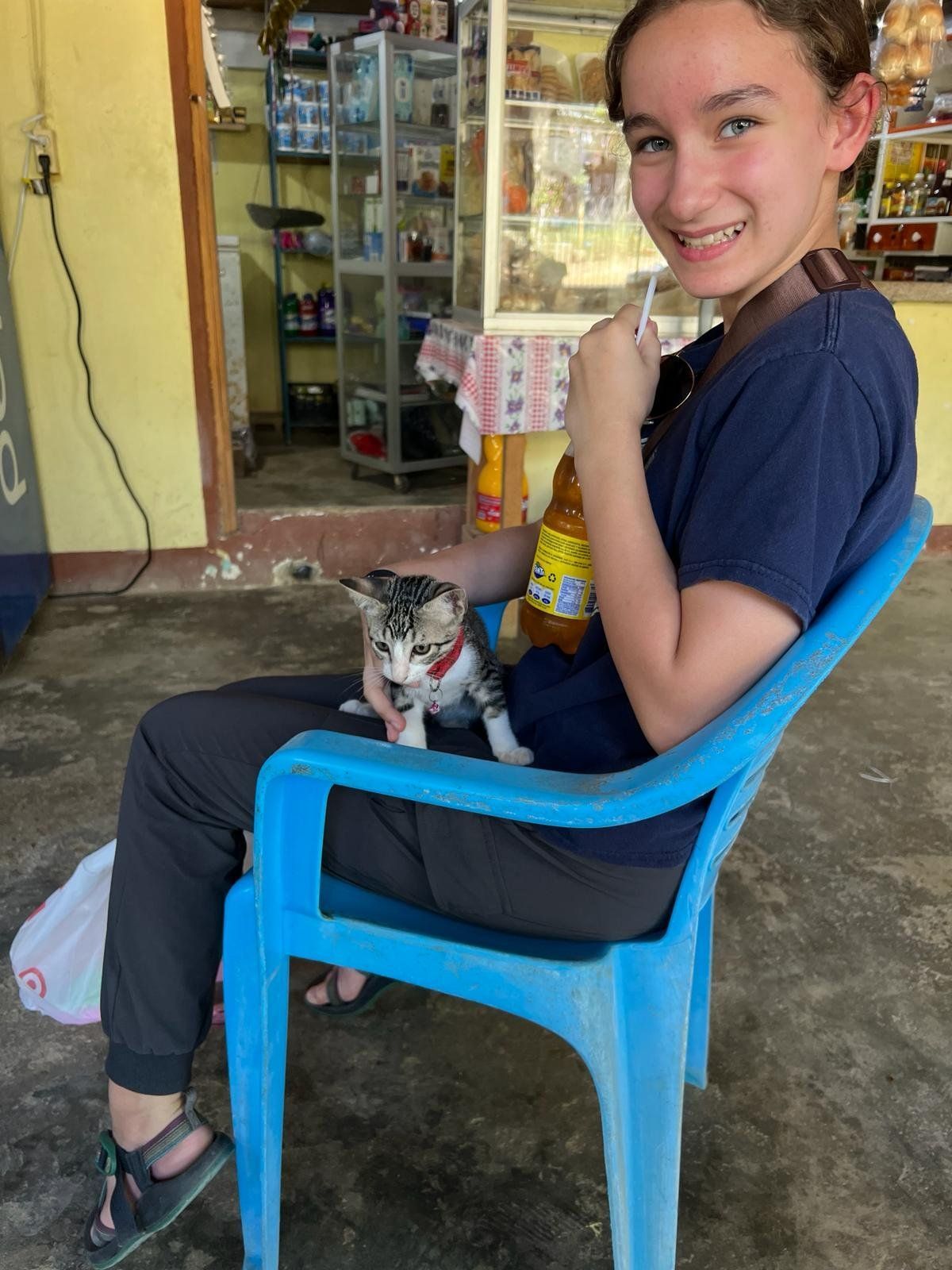 A girl is sitting in a blue chair holding a cat