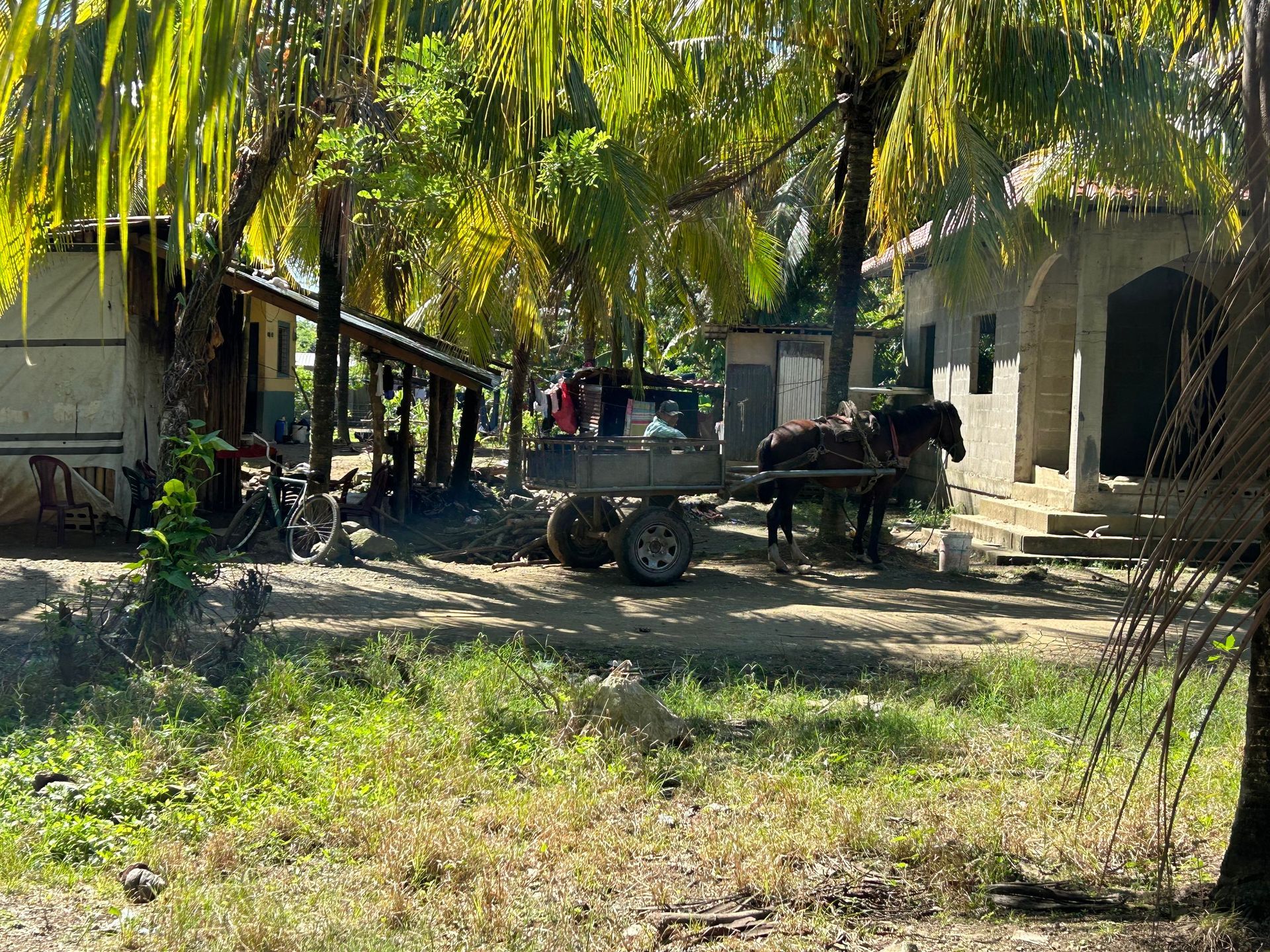 A horse drawn carriage is parked in front of a building.