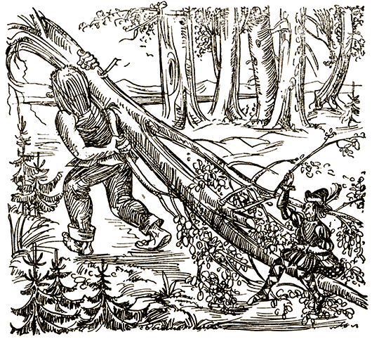 Ilustración de Maria Klaer