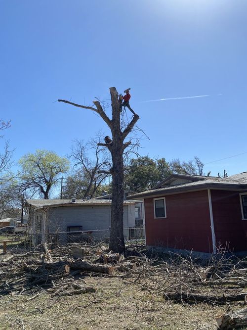 A worker in safety gear cuts a tree limb while positioned in the yellow bucket of an aerial lift.