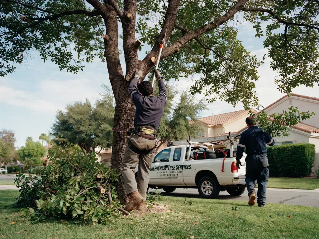Two utility workers trimming branches from a tree beside a white pickup truck in a suburban yard.