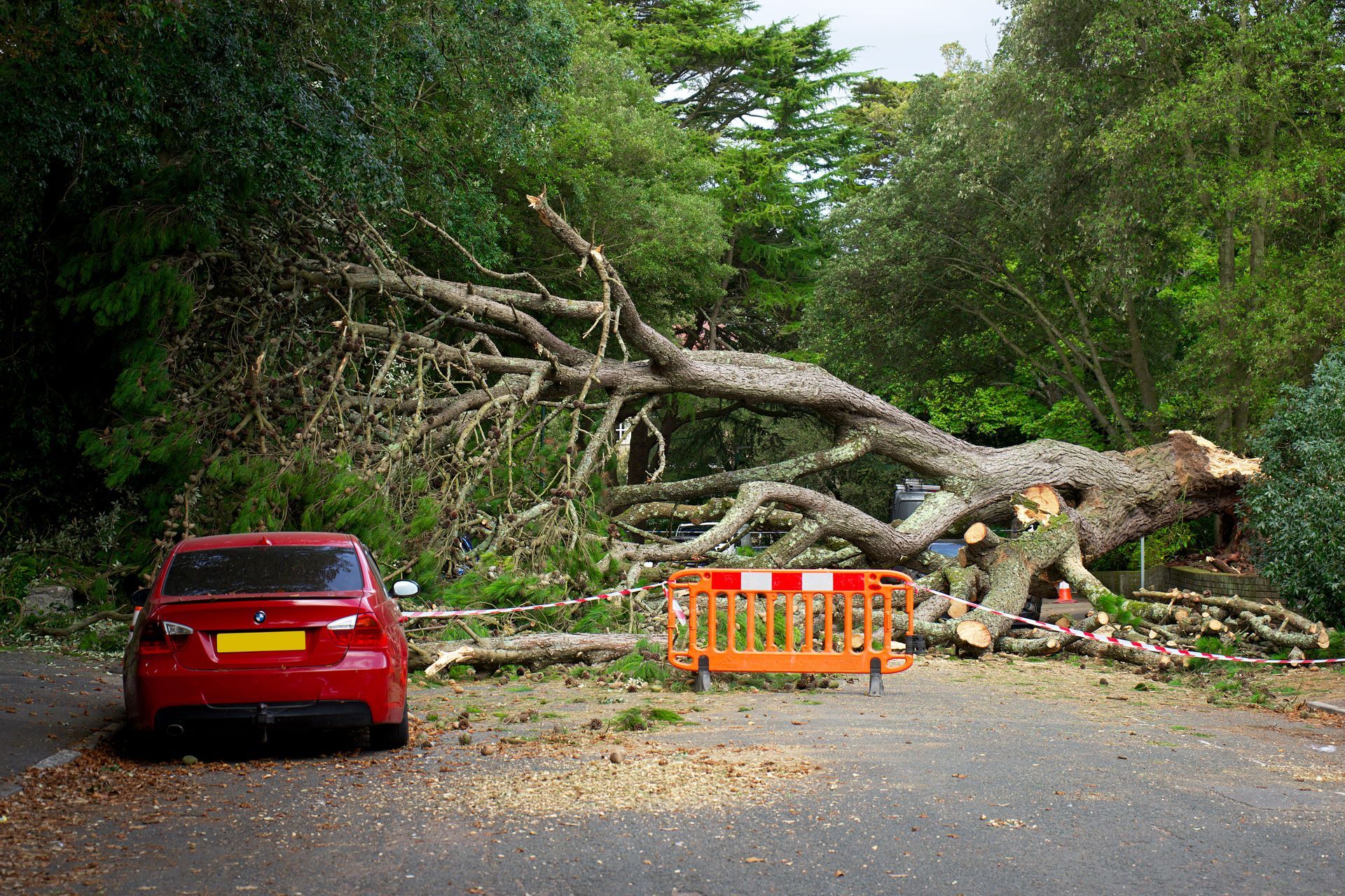Workers clearing a fallen tree in a suburban yard beside a tree service truck.