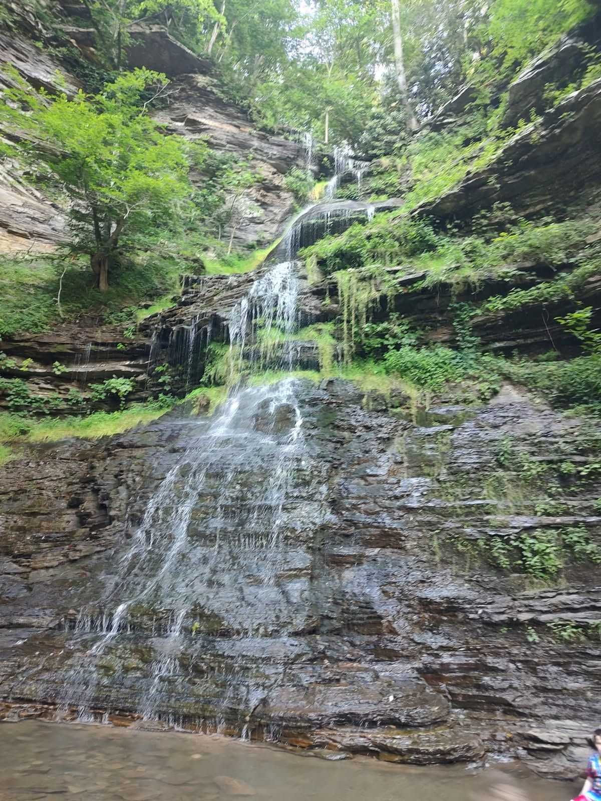 Tall waterfall cascading over rocky cliff into a wooded gorge, with green moss and trees around it