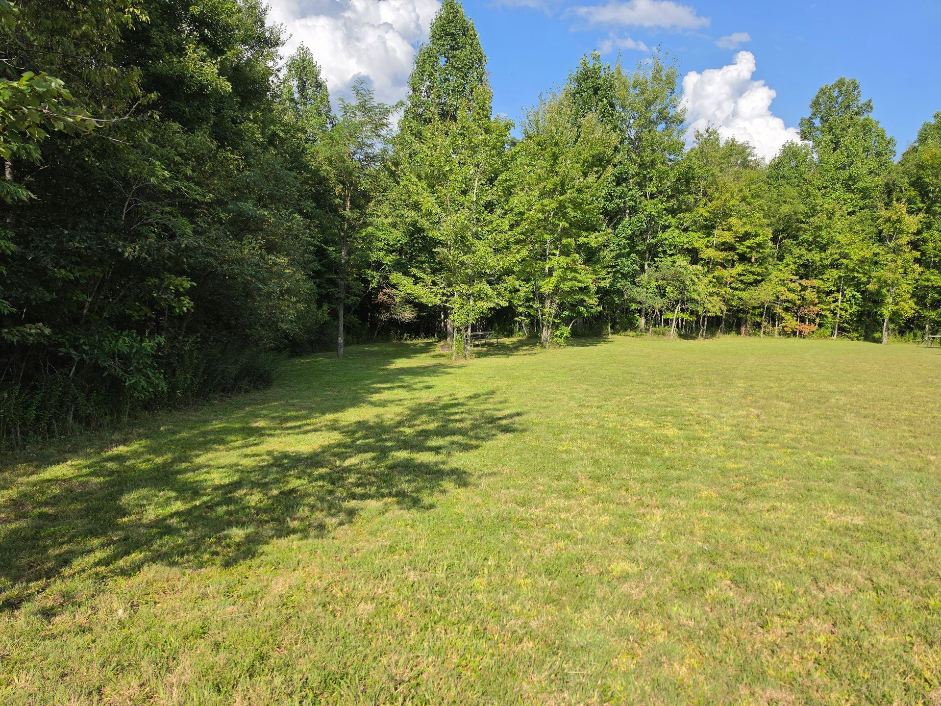 Sunny grassy field bordered by dense green trees under a partly cloudy sky