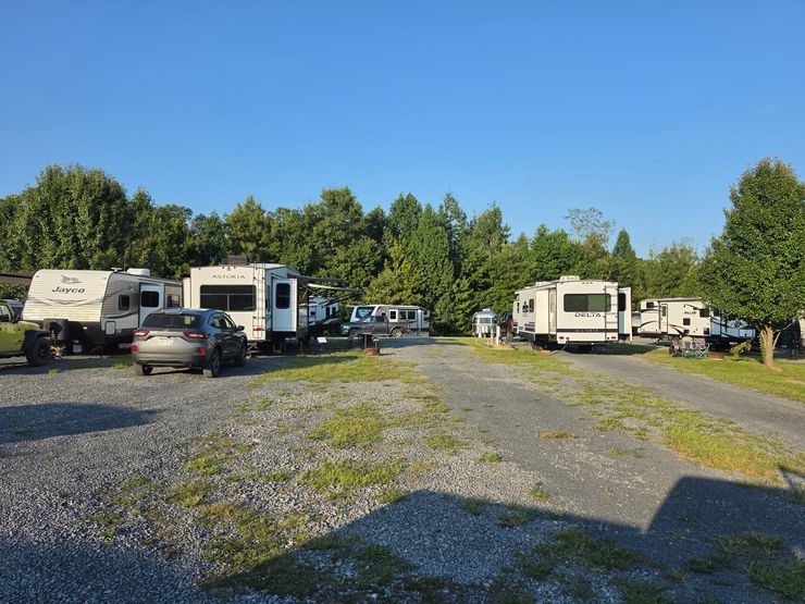 RVs and cars parked on a gravel lot beside trees under a clear blue sky