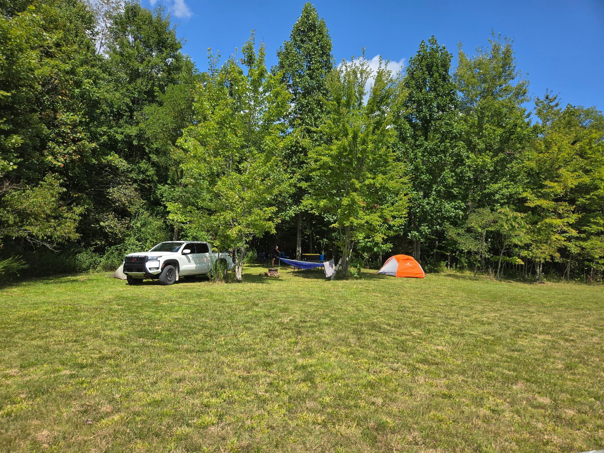 White SUV and orange tent on grassy clearing by trees under a blue sky.