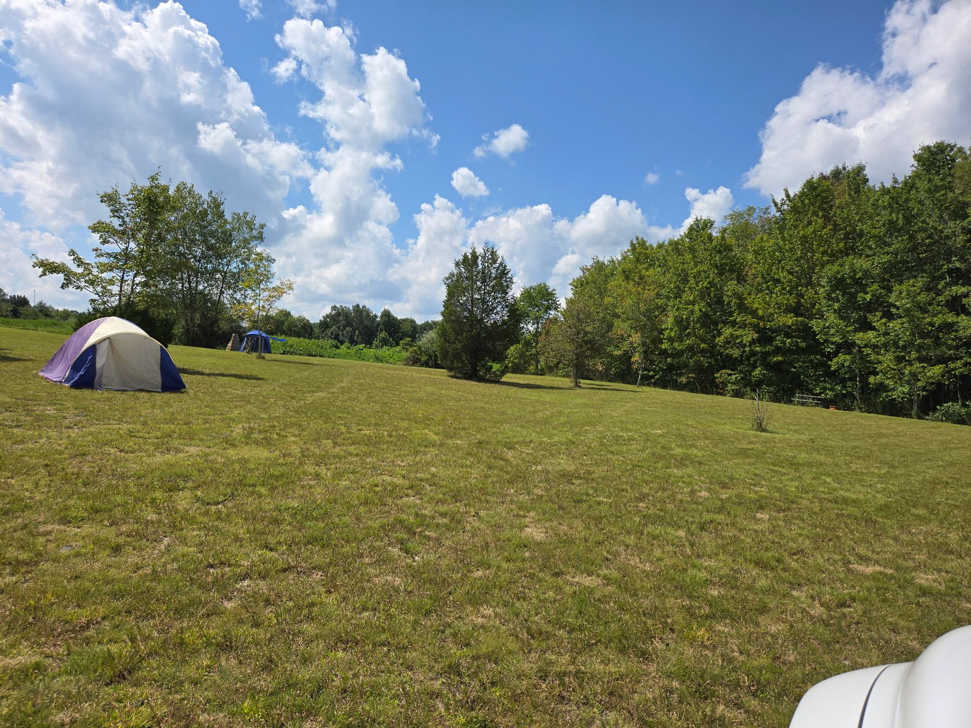 Sunny grassy field with a small tent, trees, and a blue sky with scattered clouds