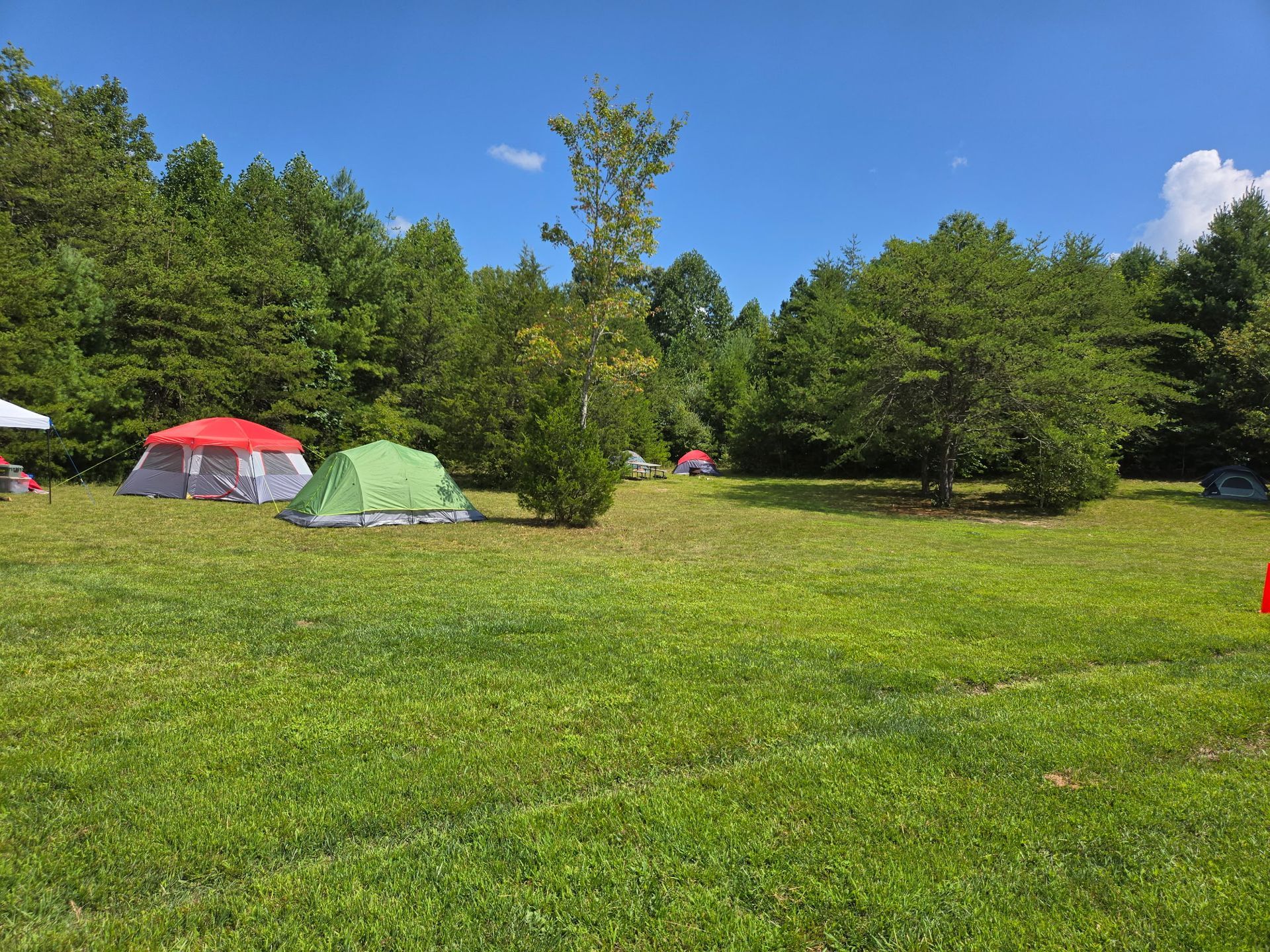 Grassy campsite with colorful tents under trees on a sunny day