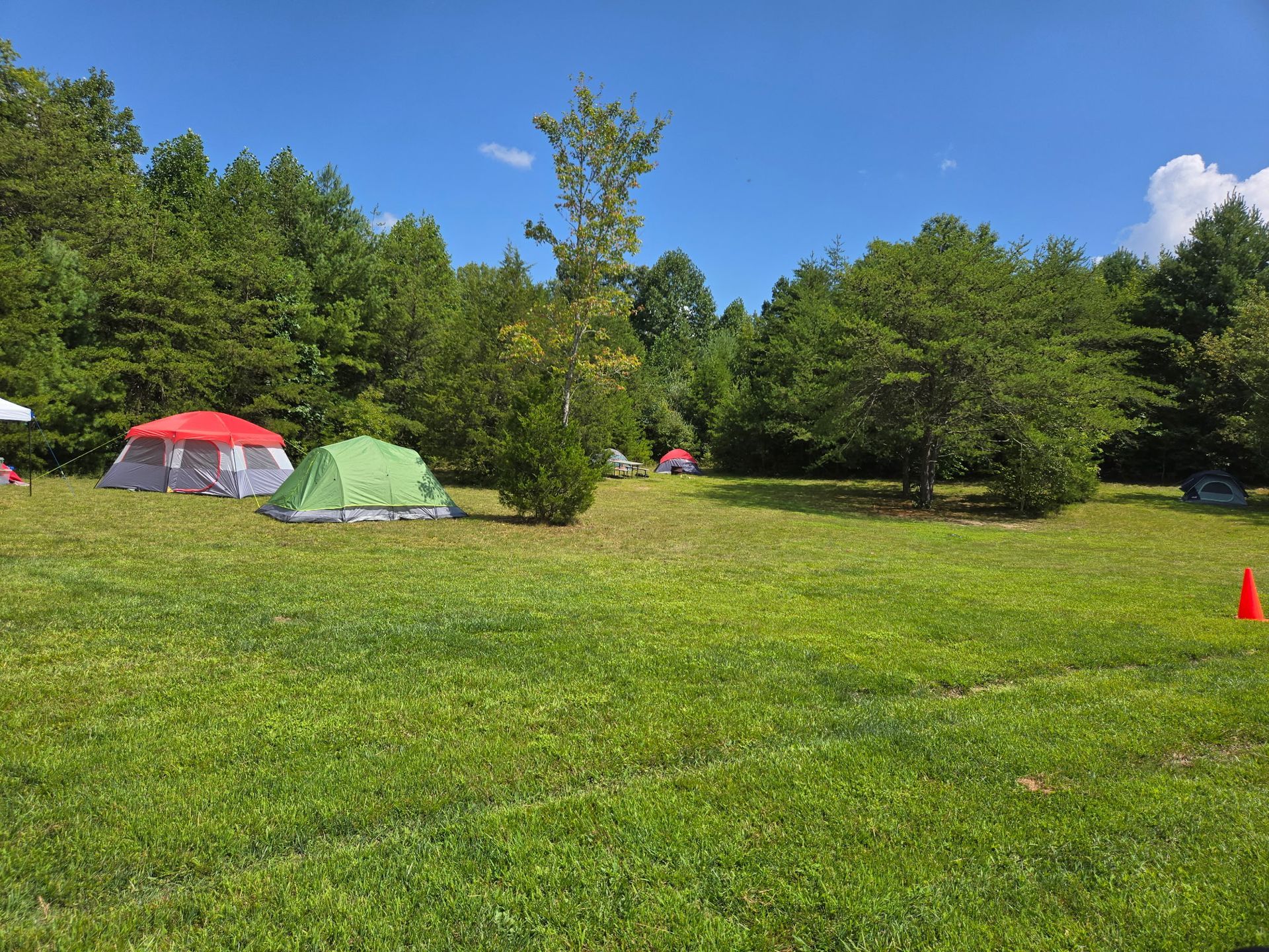 Camping tents on a grassy field with trees and blue sky on a sunny day
