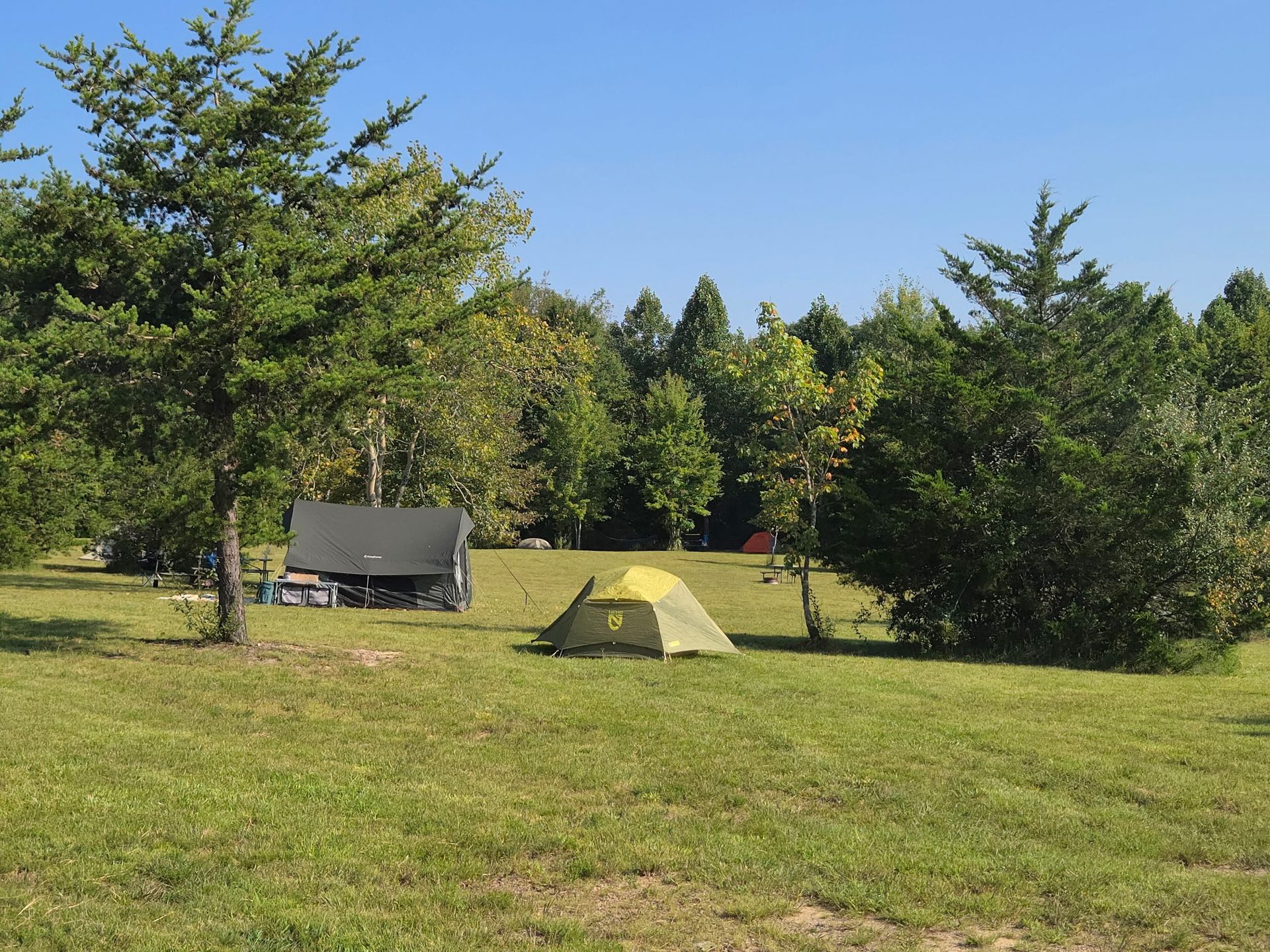 Small yellow tent and gray shelter in a grassy campsite surrounded by trees under a clear sky