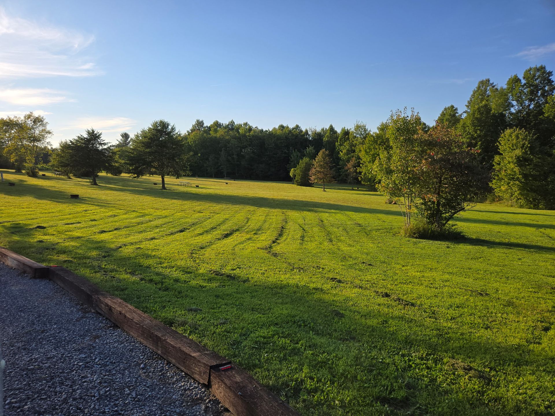 Sunlit grassy field with scattered trees beside a gravel path under a clear blue sky