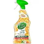 126 PINE CLEEN MANDARIN AND GINGER LILY