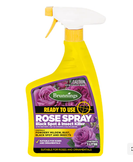 Rose spray