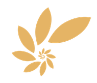 About Favicon Astrantia Consulting