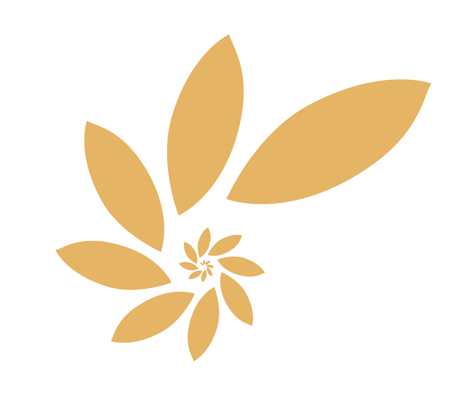 Favicon Astrantia Consulting