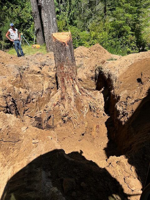 A man standing next to a tree stump in the dirt