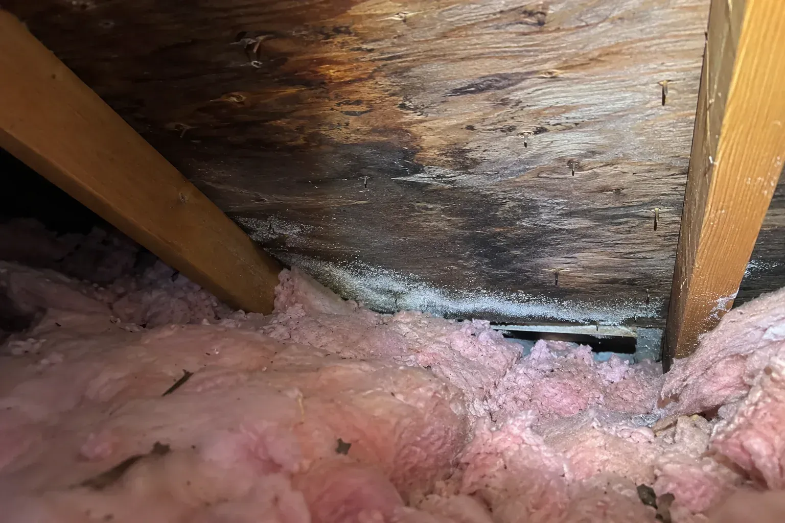 Blistered shingles on a suburban roof with few vents