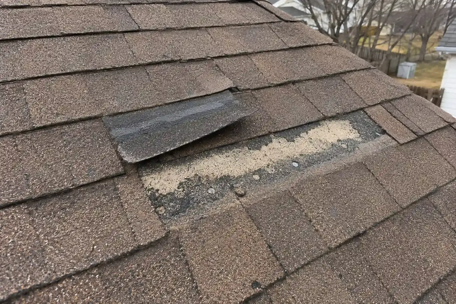 Shingle tab lifted by wind with its seal strip broken