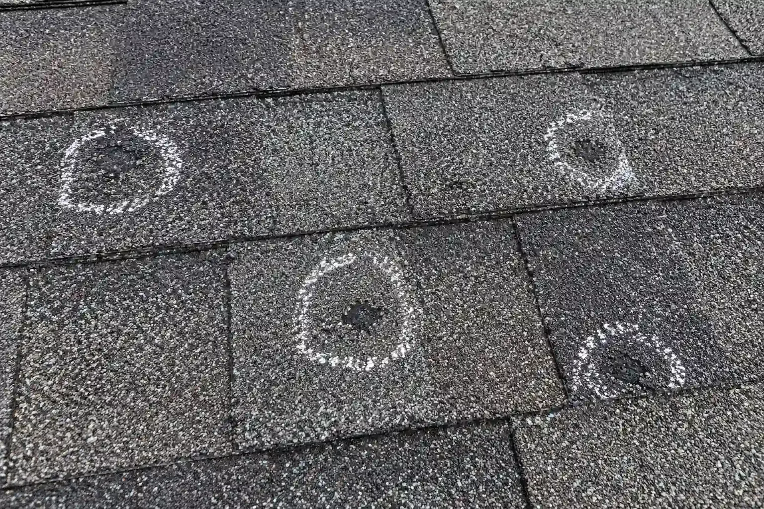 Dark, pitted hail bruises on an asphalt shingle, circled in chalk