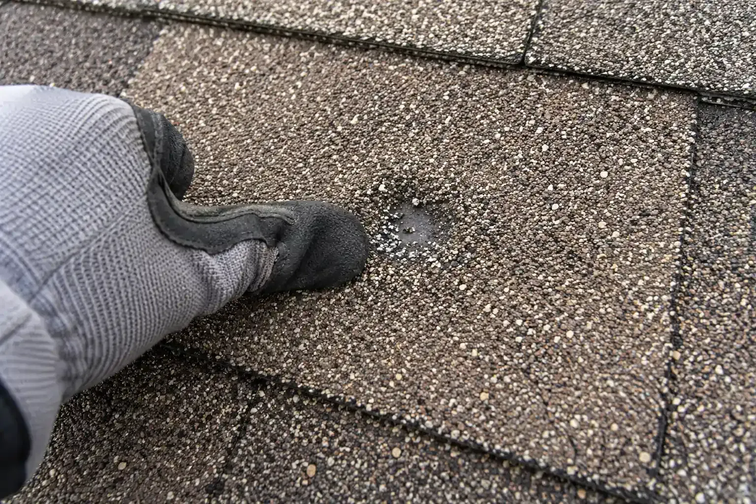 Gloved thumb pressing a soft hail bruise on an asphalt shingle