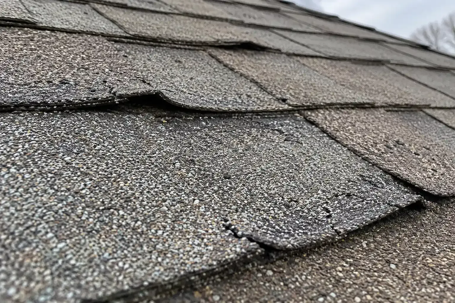 Brittle, curled shingle edges with small cracks