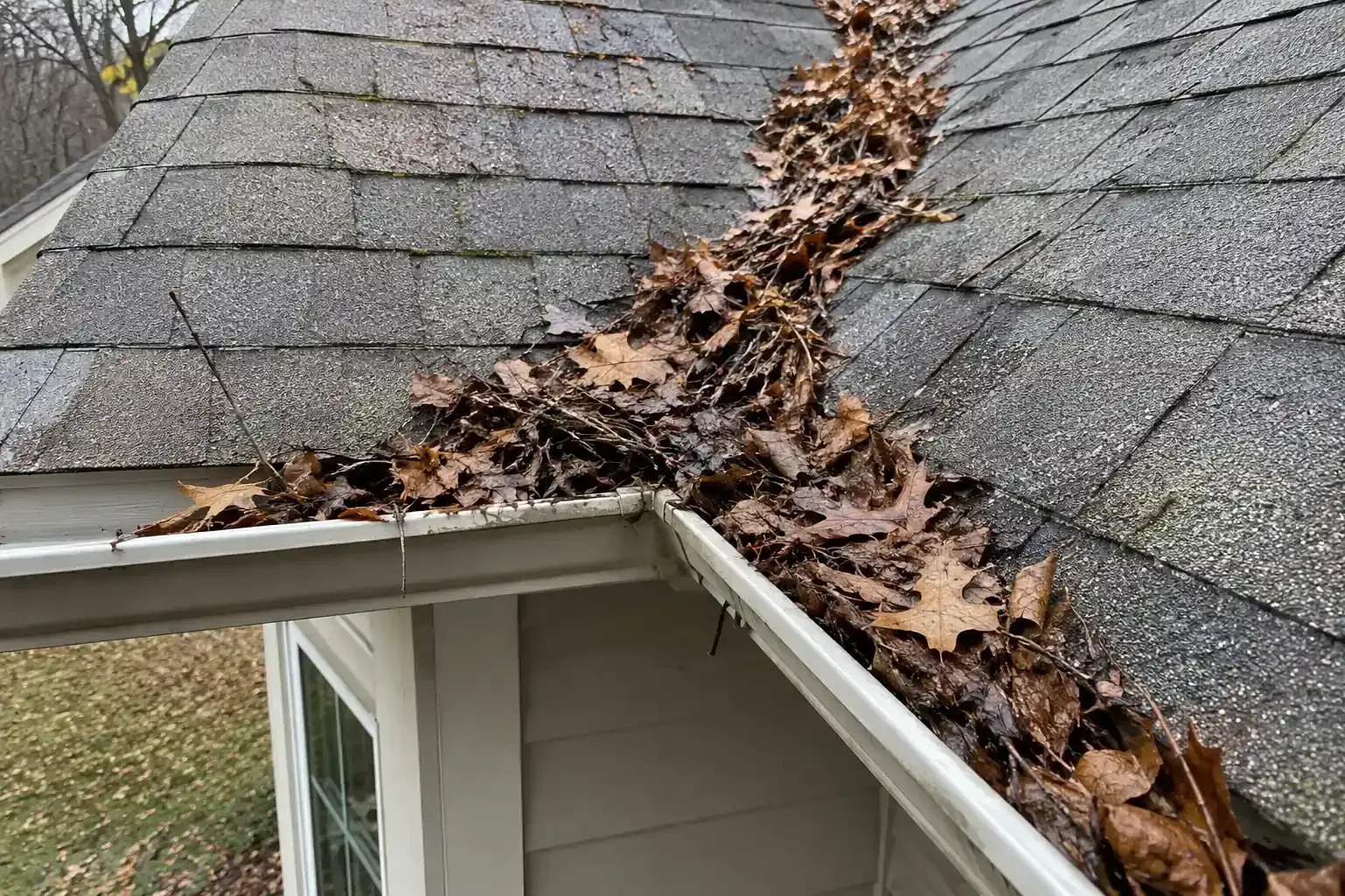 Wet leaves packed into a roof valley and the gutter below it
