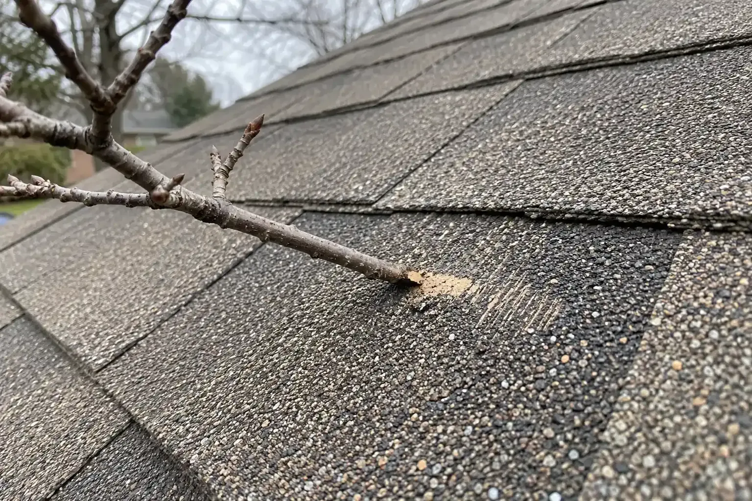Overhanging tree branches over a roof with leaves in the valley