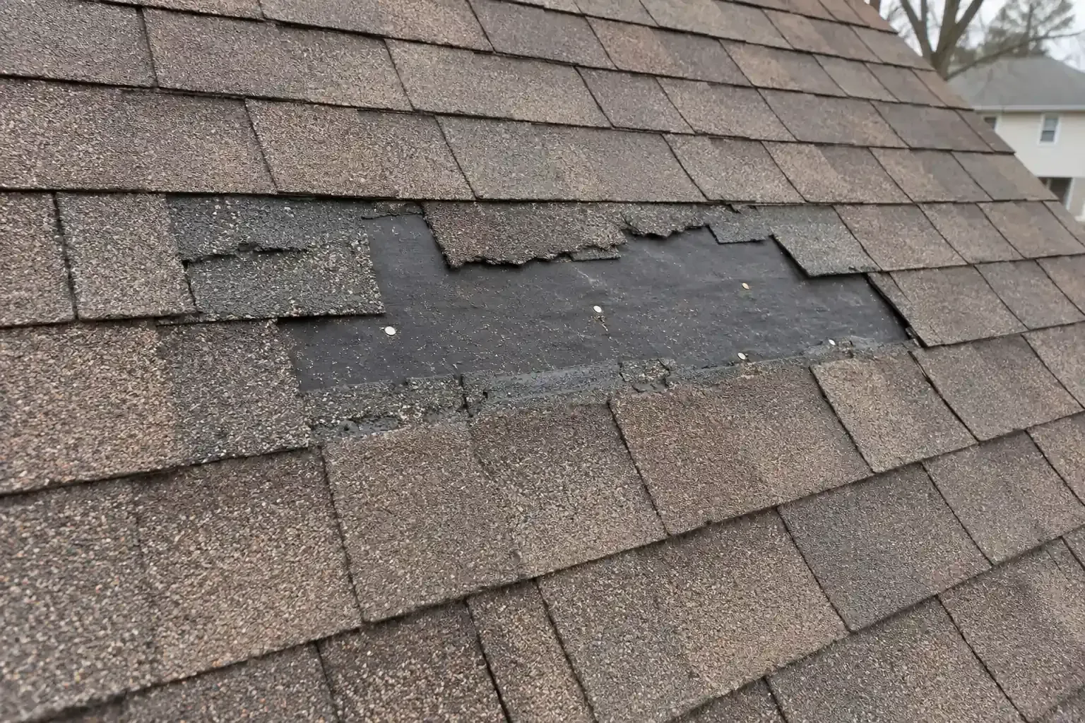 Shingles missing from a roof after a windstorm, felt showing