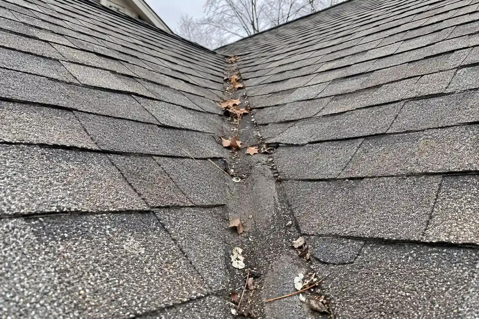 Worn valley shingles with leaves caught along the seam