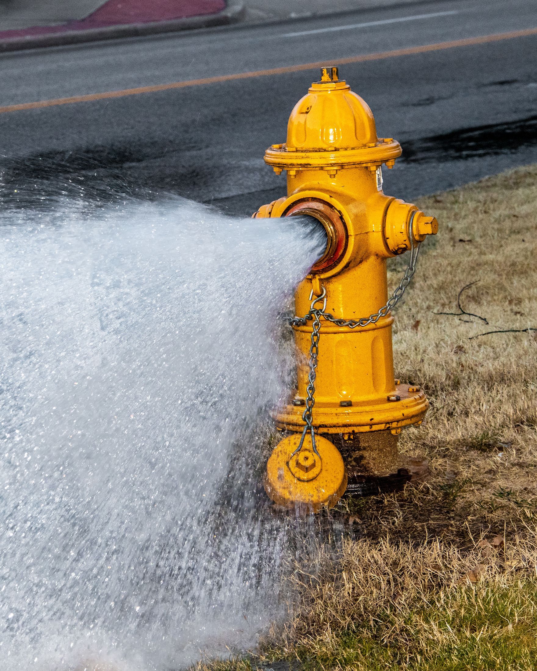 A yellow fire hydrant is spraying water on the ground