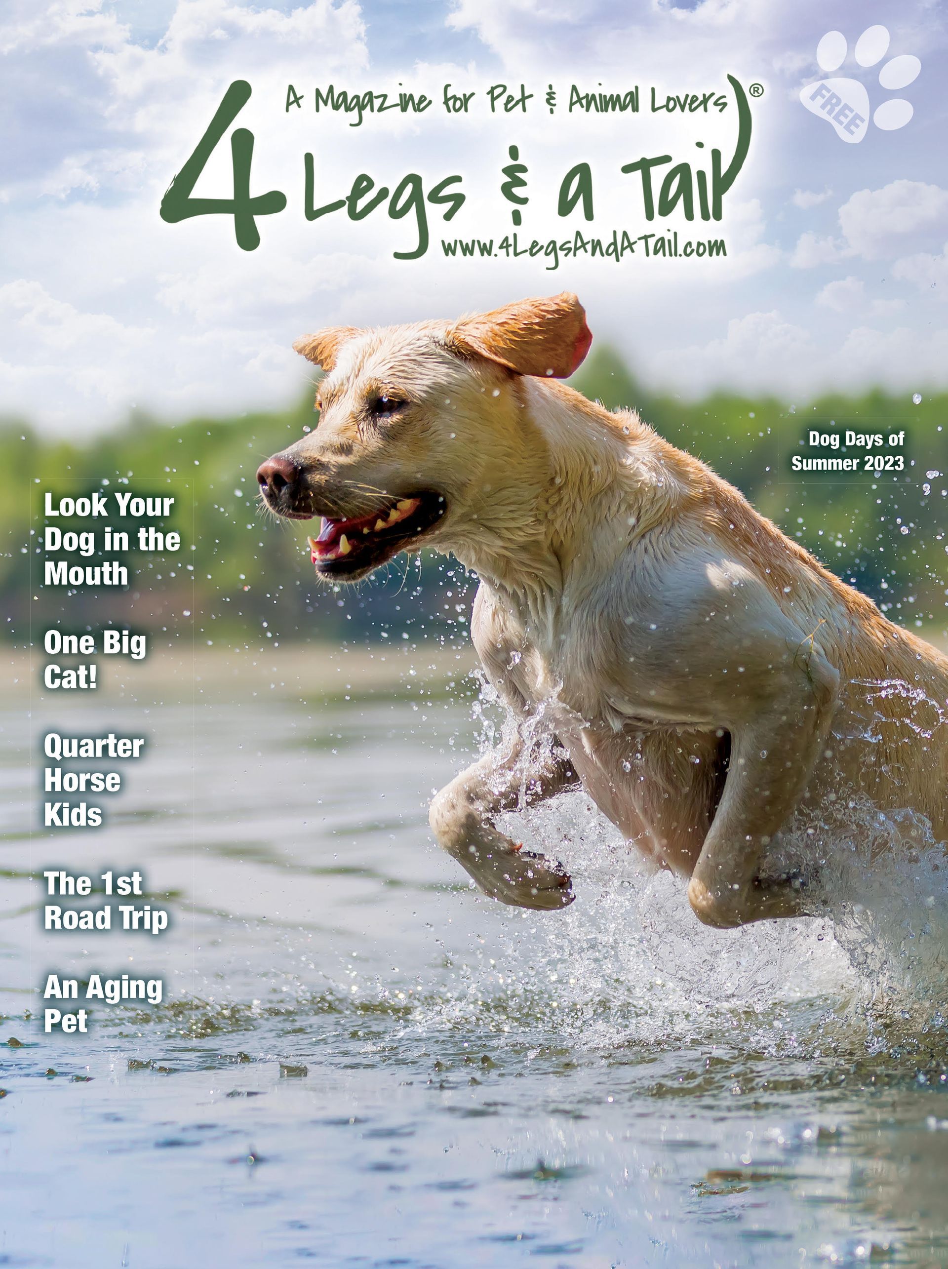 a dog is jumping out of the water on the cover of a magazine .