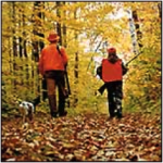 two people are walking through the woods with a dog .