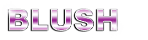 Blush Cleaning Service LLC Blush Cleaning Service LLC