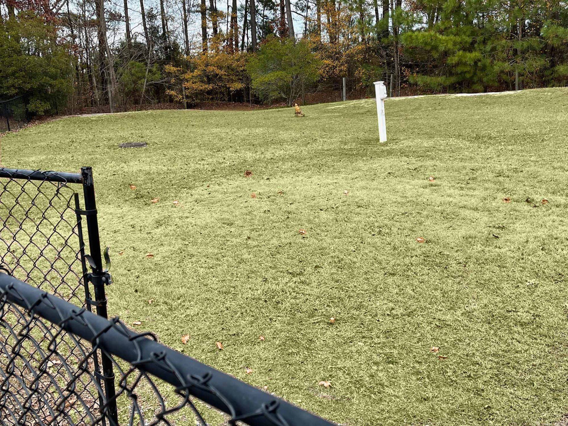 fenced in dog run at the rv resort at carolina crossroads, roanoke rapids, nc