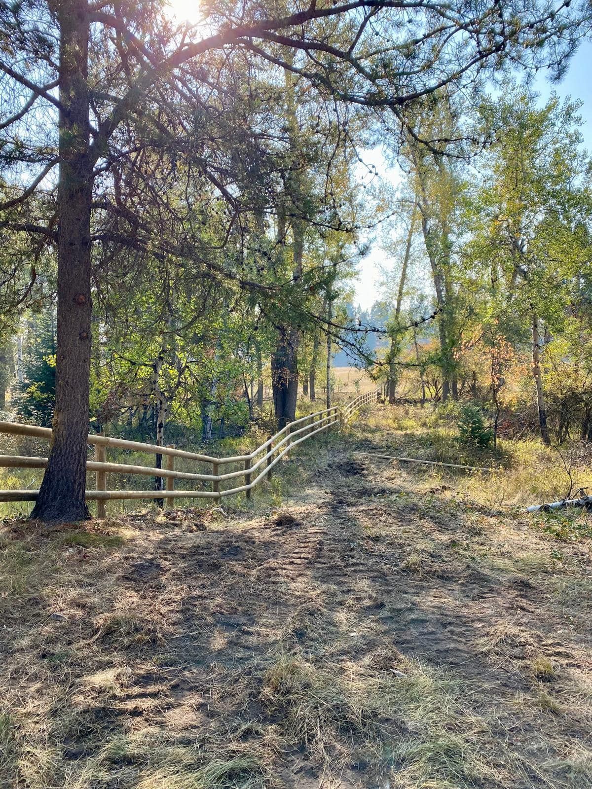 A wooden fence surrounds a dirt road in the middle of a forest.