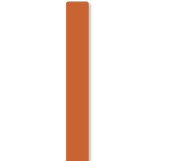 Vertical orange rectangle on a white background