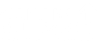 Mostly blank white image with a thin gray horizontal line near the top center