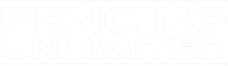 White embossed “THE RING” text over “DARK FANTASY” on a pale background