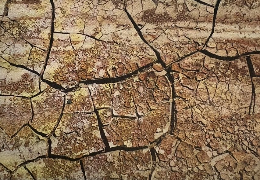 Terre craquelée et sèche. Tons bruns et beiges avec de profondes fissures.
