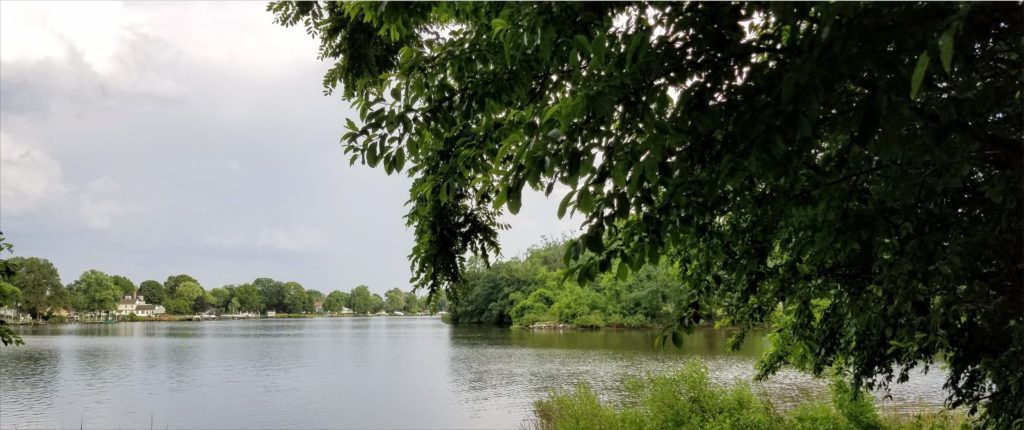 Md Line Trail Vista