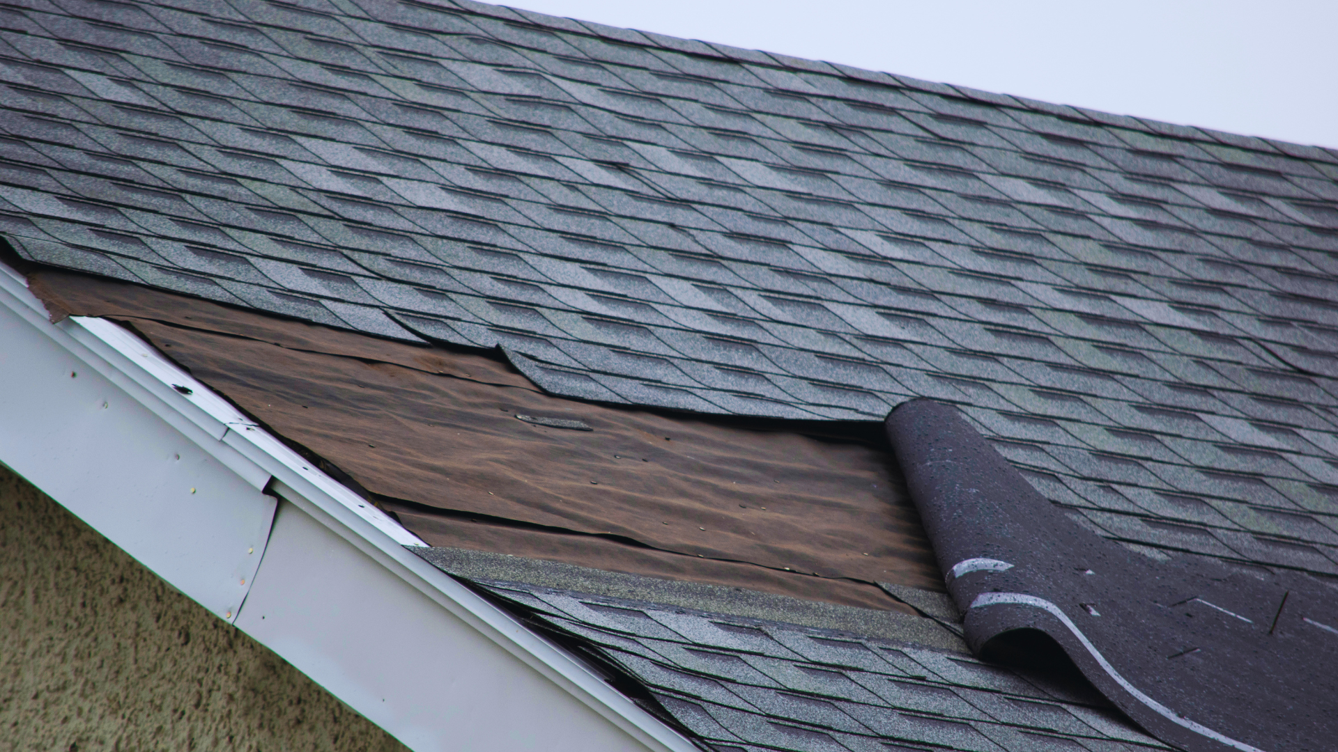 Damaged roof shingles with exposed brown underlayment near a white gutter