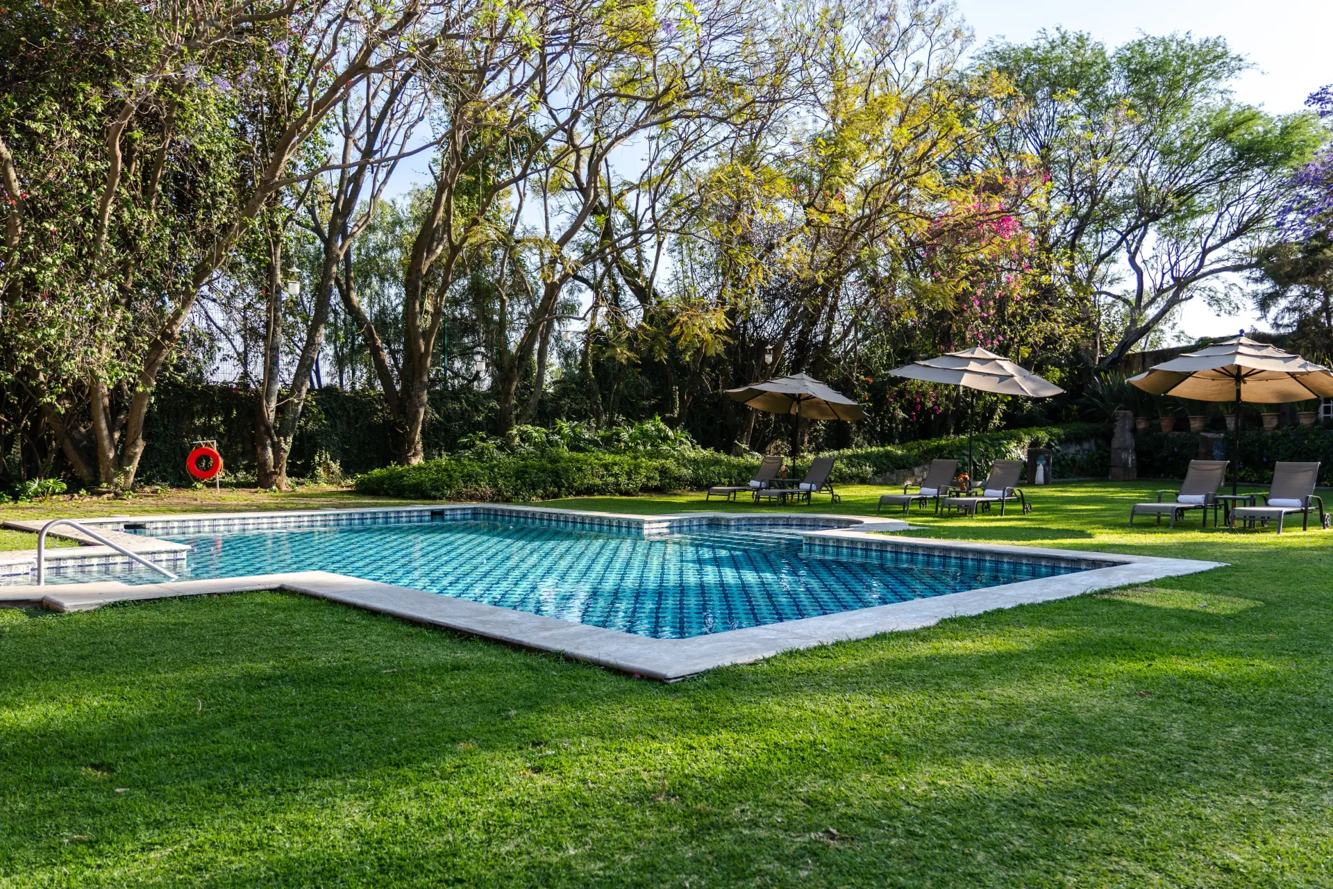 Piscina en el jardín rodeada de césped verde y árboles en un día soleado