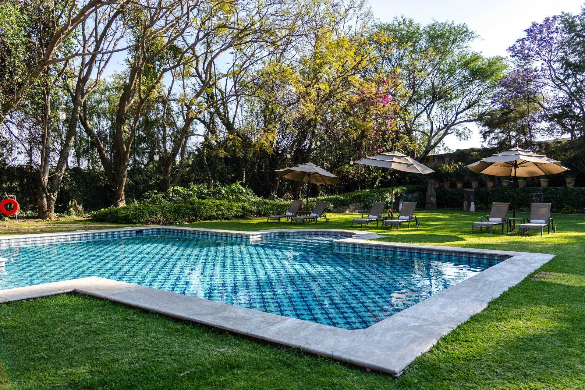 Piscina en el jardín con agua azul, césped verde y tumbonas bajo los árboles