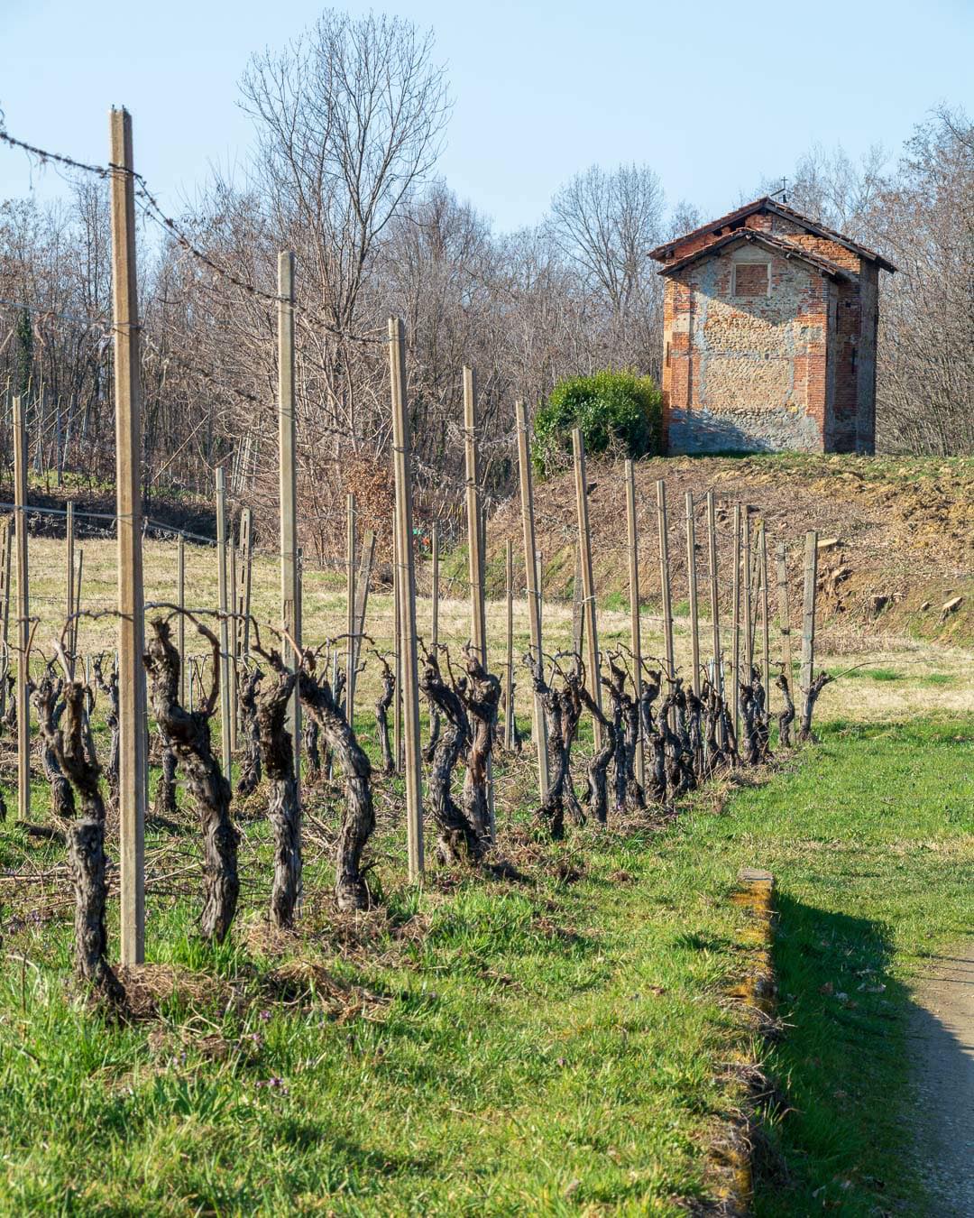 Bottiglia e calici di vino rosso del Piemonte