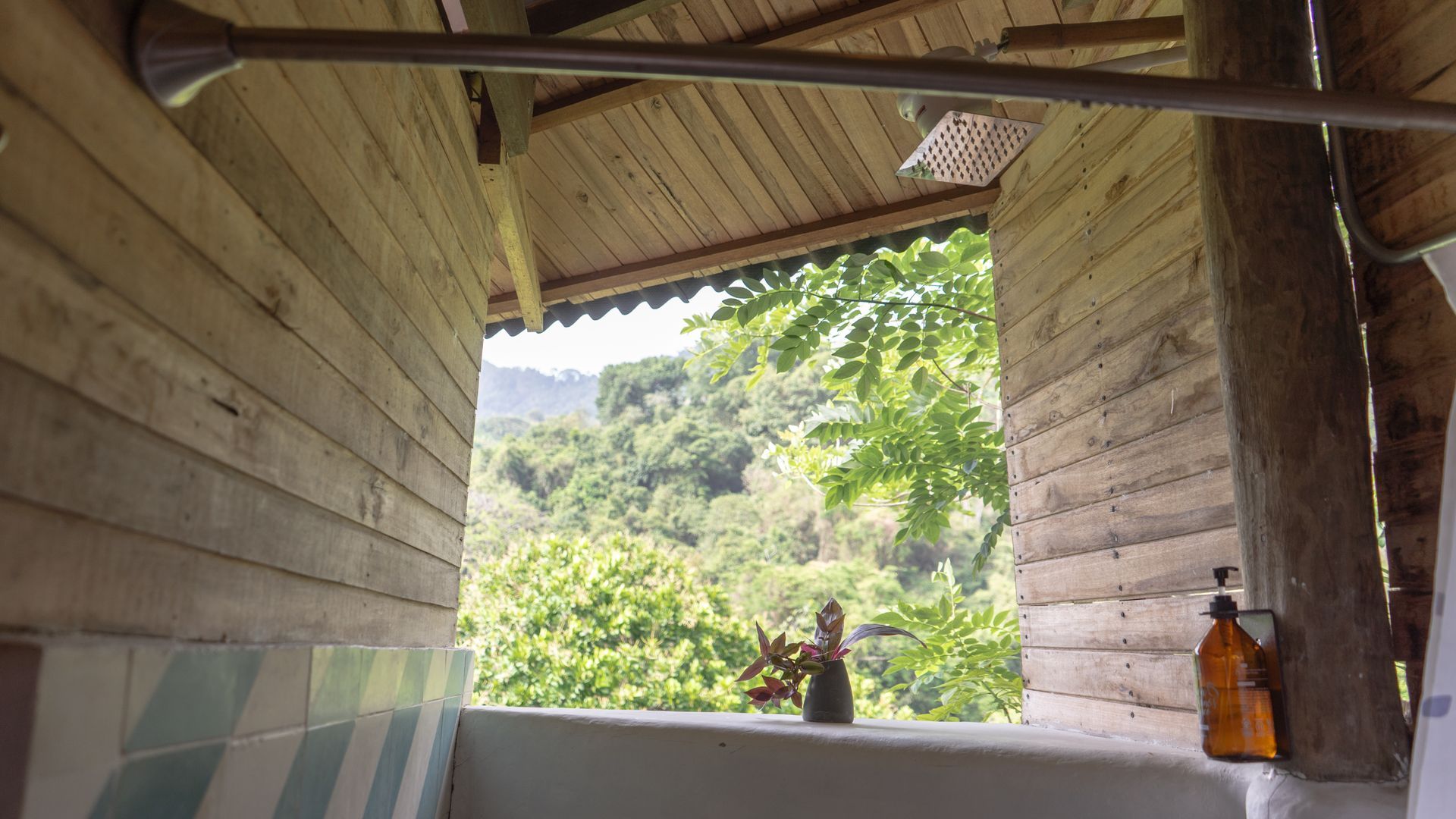 A bathroom with a shower and a view of a forest.